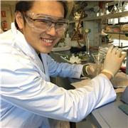 Clases online 10 ESO y Bachiller. Puedo dar clases en inglés/chino. Clases para asignaturas de ciencias: Física química mates biología geolog